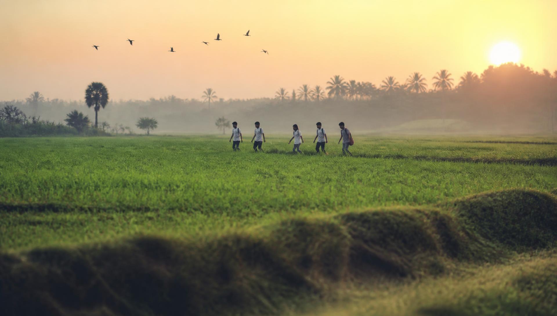 Young people walking together across a green field at sunrise